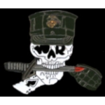 SKULL OF WAR MARINE PIN